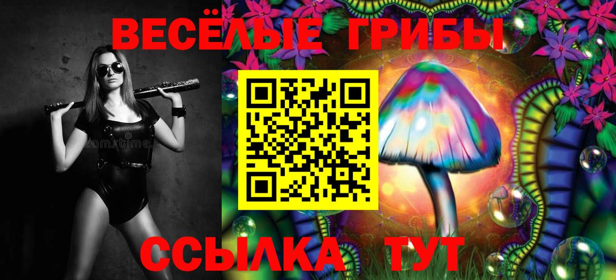 цена   Галлюциногенные грибы MAGIC MUSHROOMS  Вход с VPN  Борисоглебск 
